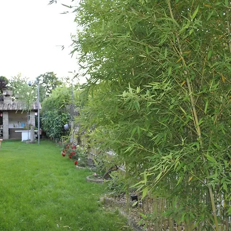 Apartamento Gelsomino