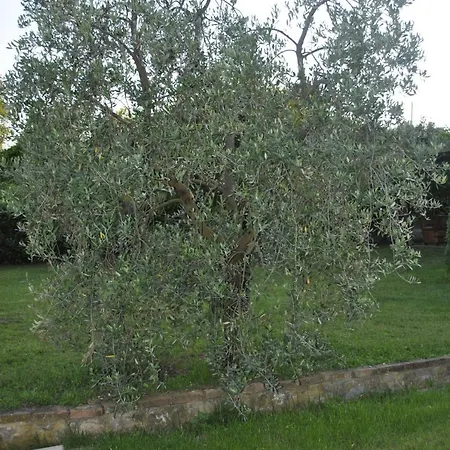 Apartamento Gelsomino