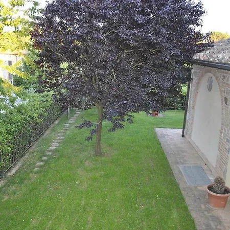 Gelsomino Monteleone dʼOrvieto