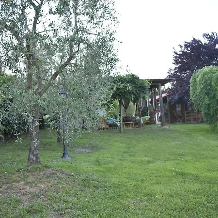 Gelsomino Monteleone dʼOrvieto